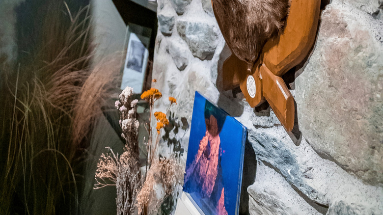 Đầu hươu gắn trên tường đá.