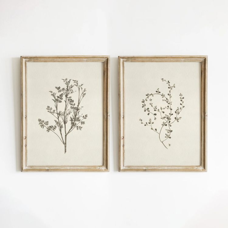 trang trí giá cả phải chăng