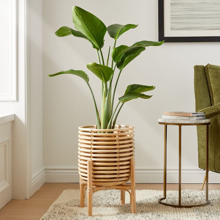 trang trí giá cả phải chăng