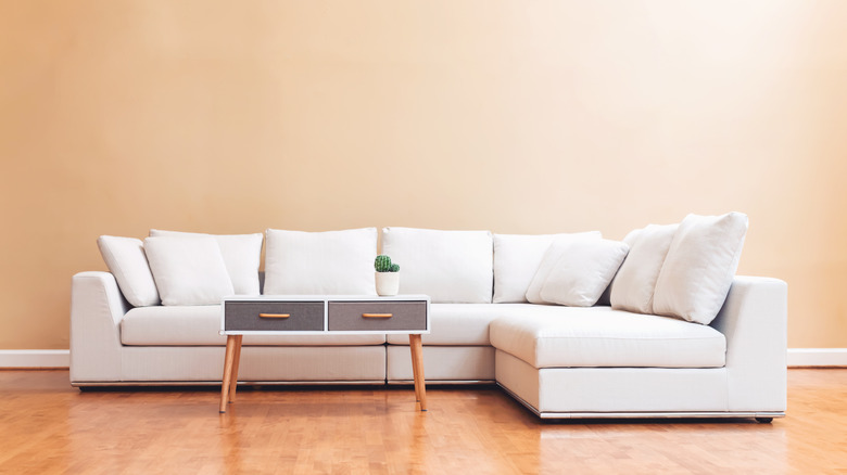 sofa cắt màu trắng với bàn cà phê và cây xương rồng
