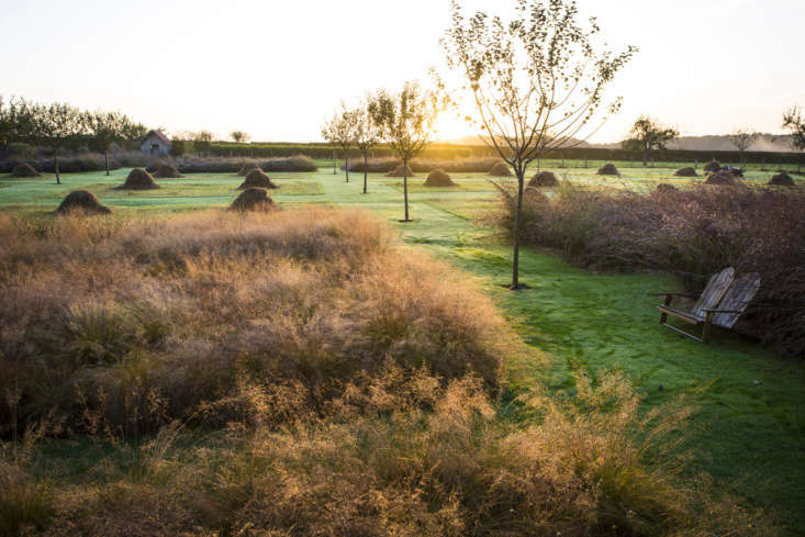 Một đồng cỏ cừu già quanh cây được cấu hình lại thành một parterre khổng lồ, với một vườn cây trong đó.