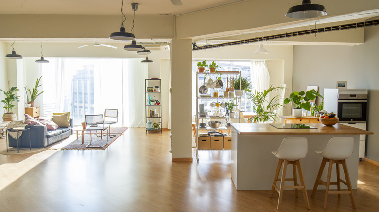 Căn hộ khái niệm mở hiện đại với nhà bếp và phòng khách kết hợp