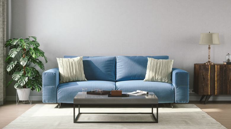 Phòng khách rất cơ bản được thiết lập với ghế nhung màu xanh nhạt, nhà máy, bàn cà phê và tường màu xám