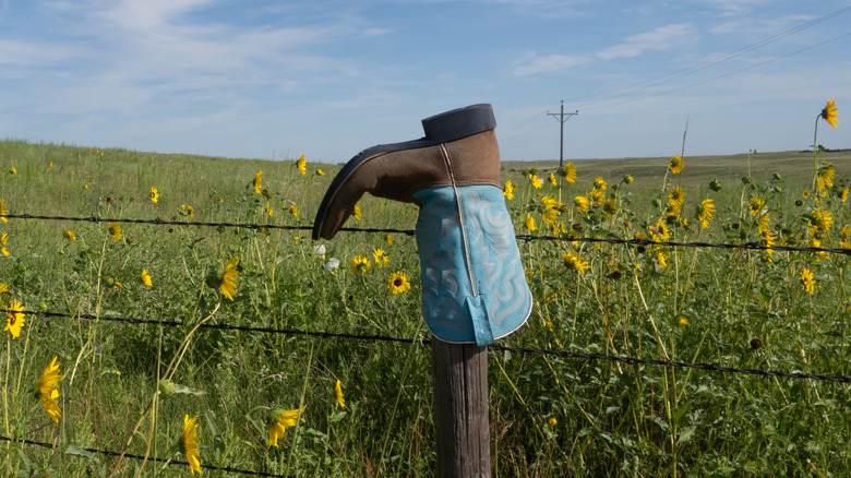 Cowboy Boot trên một hàng rào với những bông hoa màu vàng