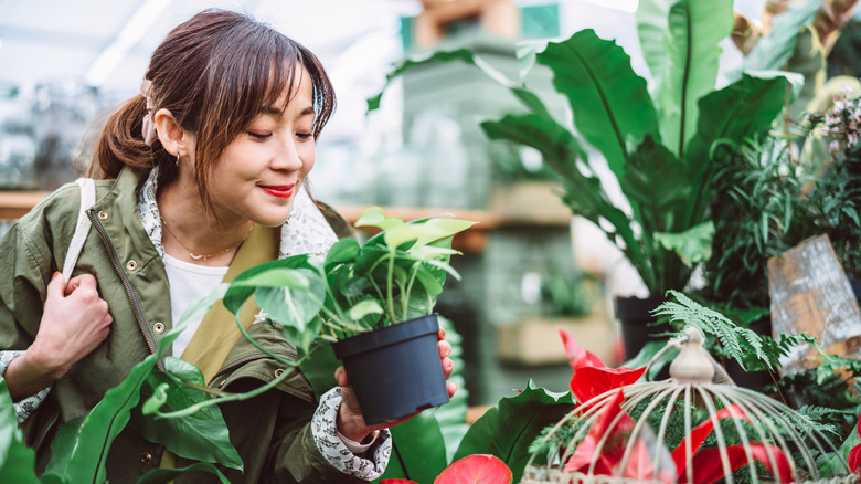 Người phụ nữ mỉm cười khi nhặt một cây để mua trong một cửa hàng.