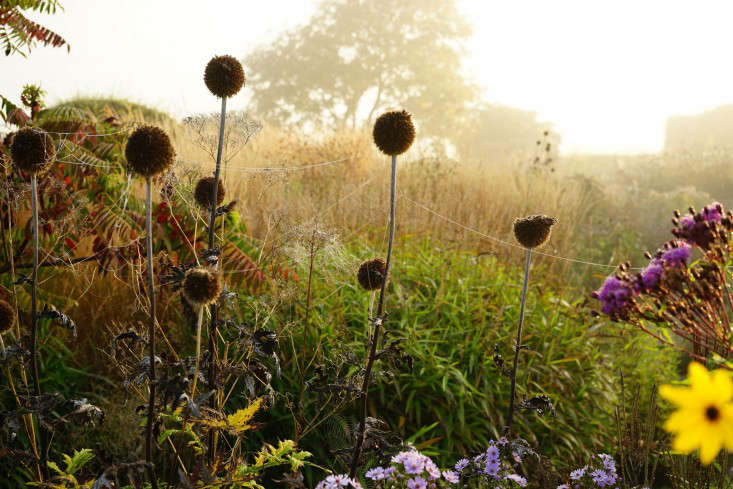 Mùa đông ở Oudolf