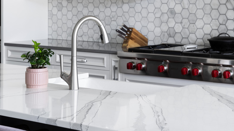 Mặt bàn của Đảo bếp Quartz với vòi niken và cây chậu