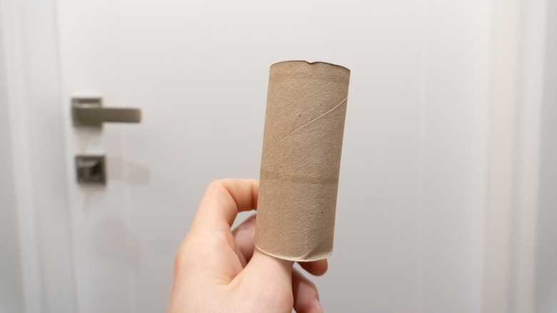 người cầm ống giấy vệ sinh trước cửa