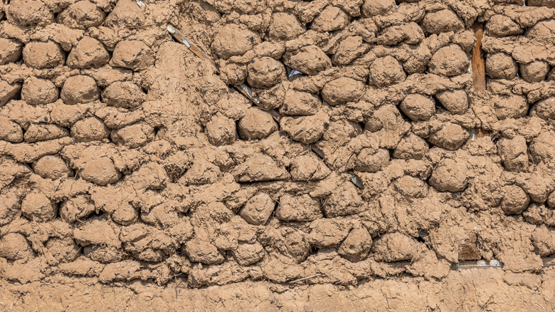 Cận cảnh tường lõi ngô