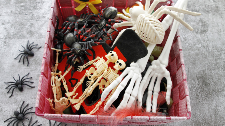 Hộp trang trí Halloween bao gồm nhện và bộ xương