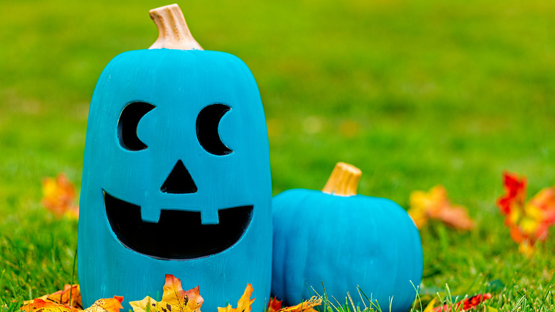 Teal và Black Painted Jack-O-Lantern đang ngồi trên cỏ