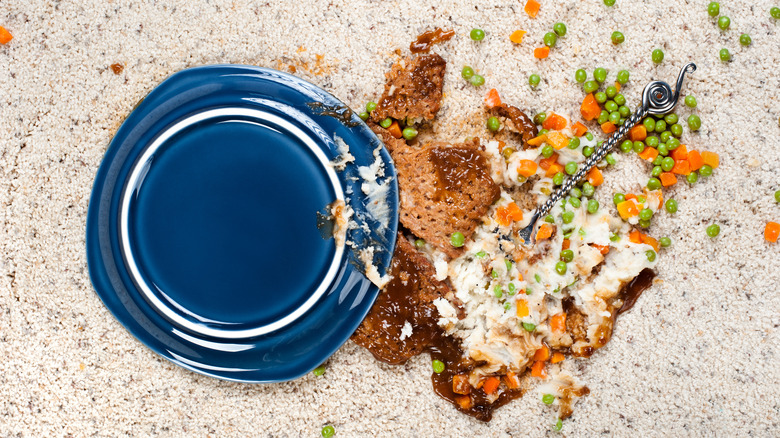 thức ăn đổ và đĩa trên thảm