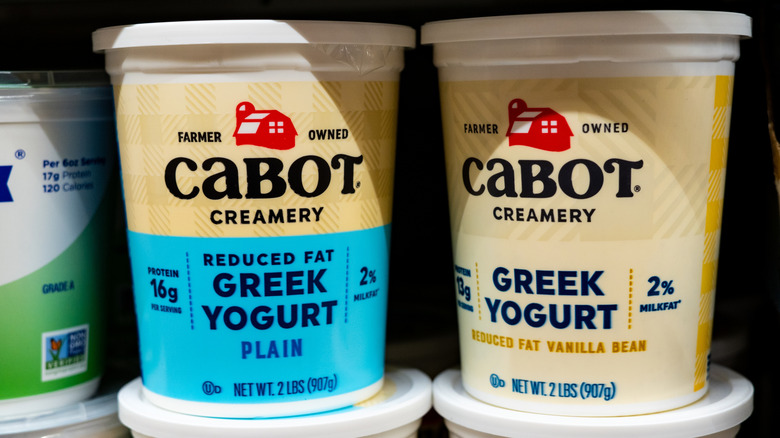 Bồn sữa chua bằng nhựa lớn trên kệ