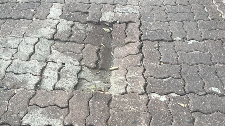 đá lát nền bị chìm