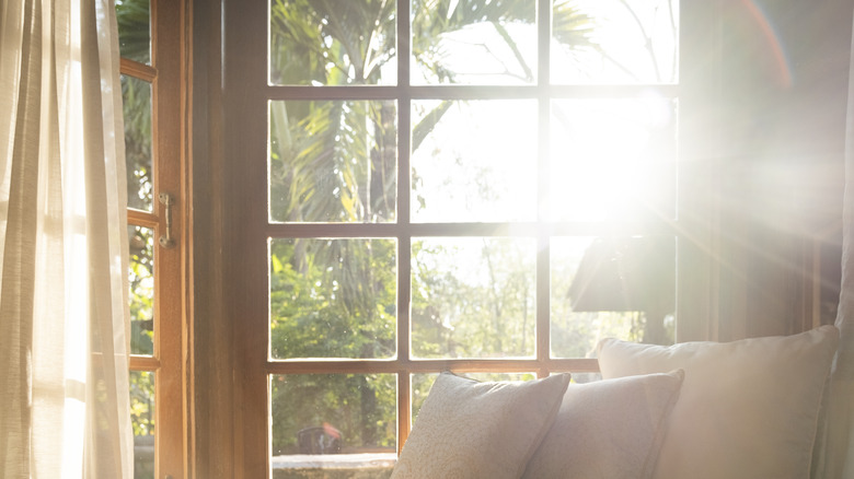 Cửa sổ phòng khách đầy nắng