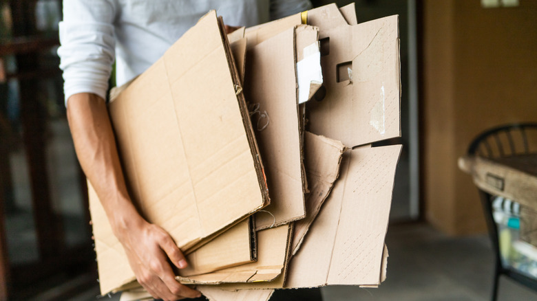 người cầm chồng hộp các tông bị hỏng