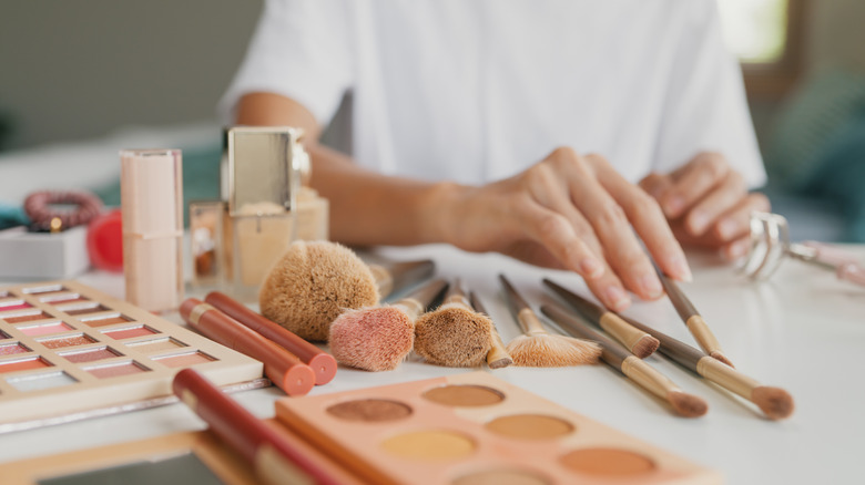 Người phân loại mỹ phẩm và cọ trang điểm