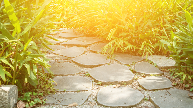 Cận cảnh lối đi bằng đá uốn lượn qua thảm cỏ xanh cao dưới ánh nắng