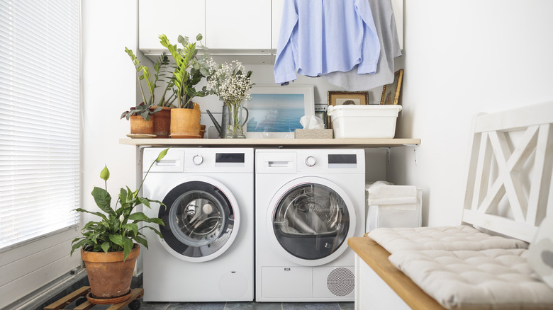 Khu vực giặt nhỏ với áo sơ mi treo trên tường hoặc trần nhà