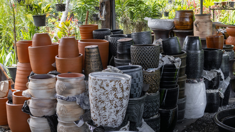 Đống chậu trồng cây