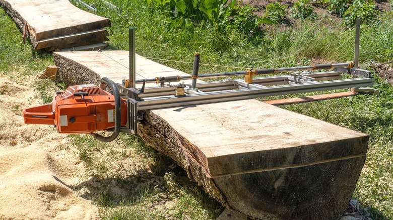 Máy cưa xích di động cắt cây thành gỗ tại chỗ