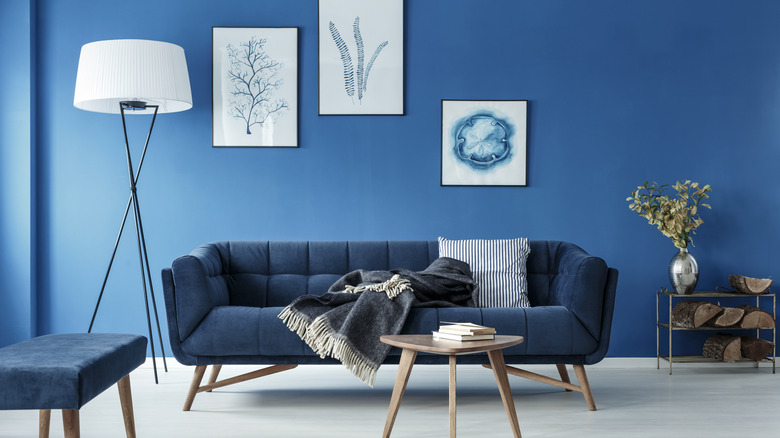 Ghế sofa màu xanh trên bức tường màu xanh trong phòng khách